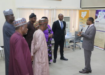 NgREN to be Restructured as it Integrates TERAS, Chidoka Reveals